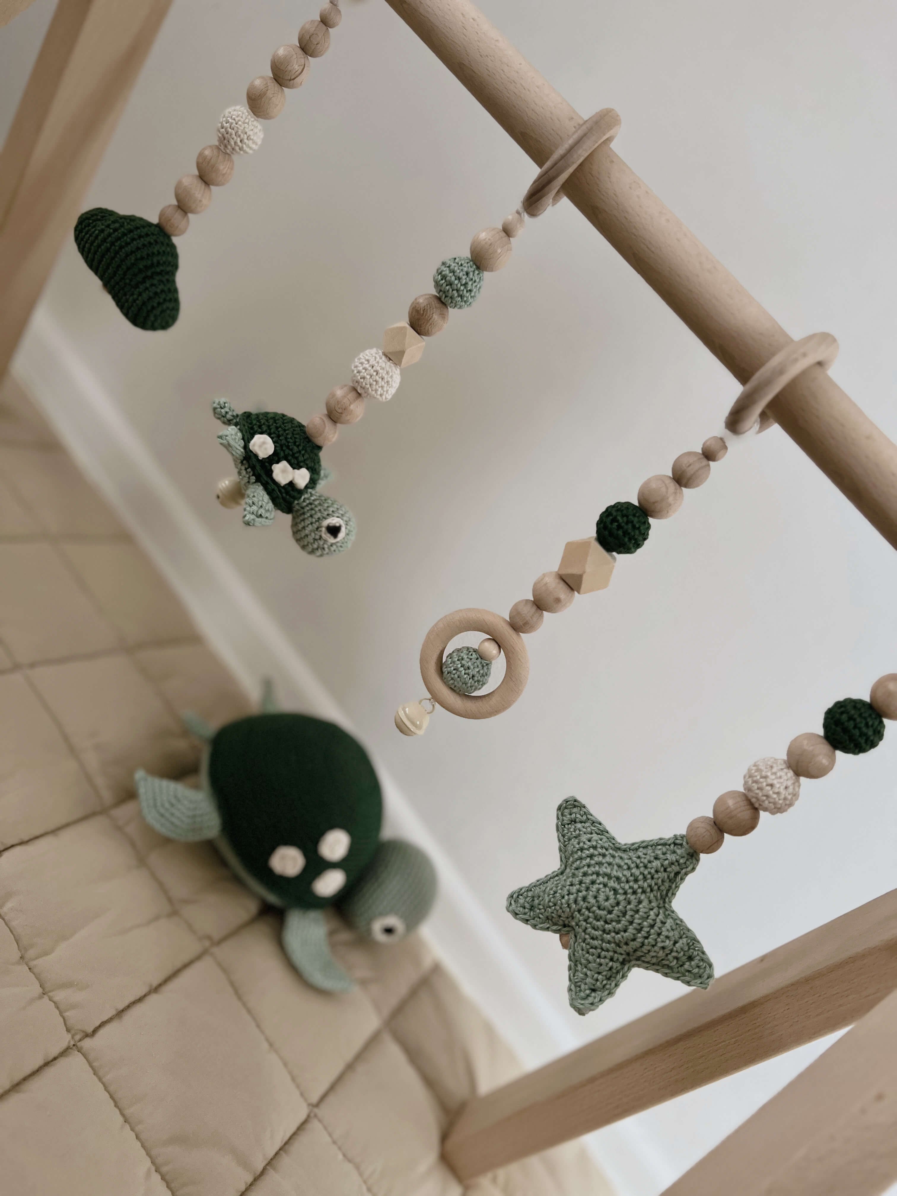 Play Arch "Turtle Wyes"