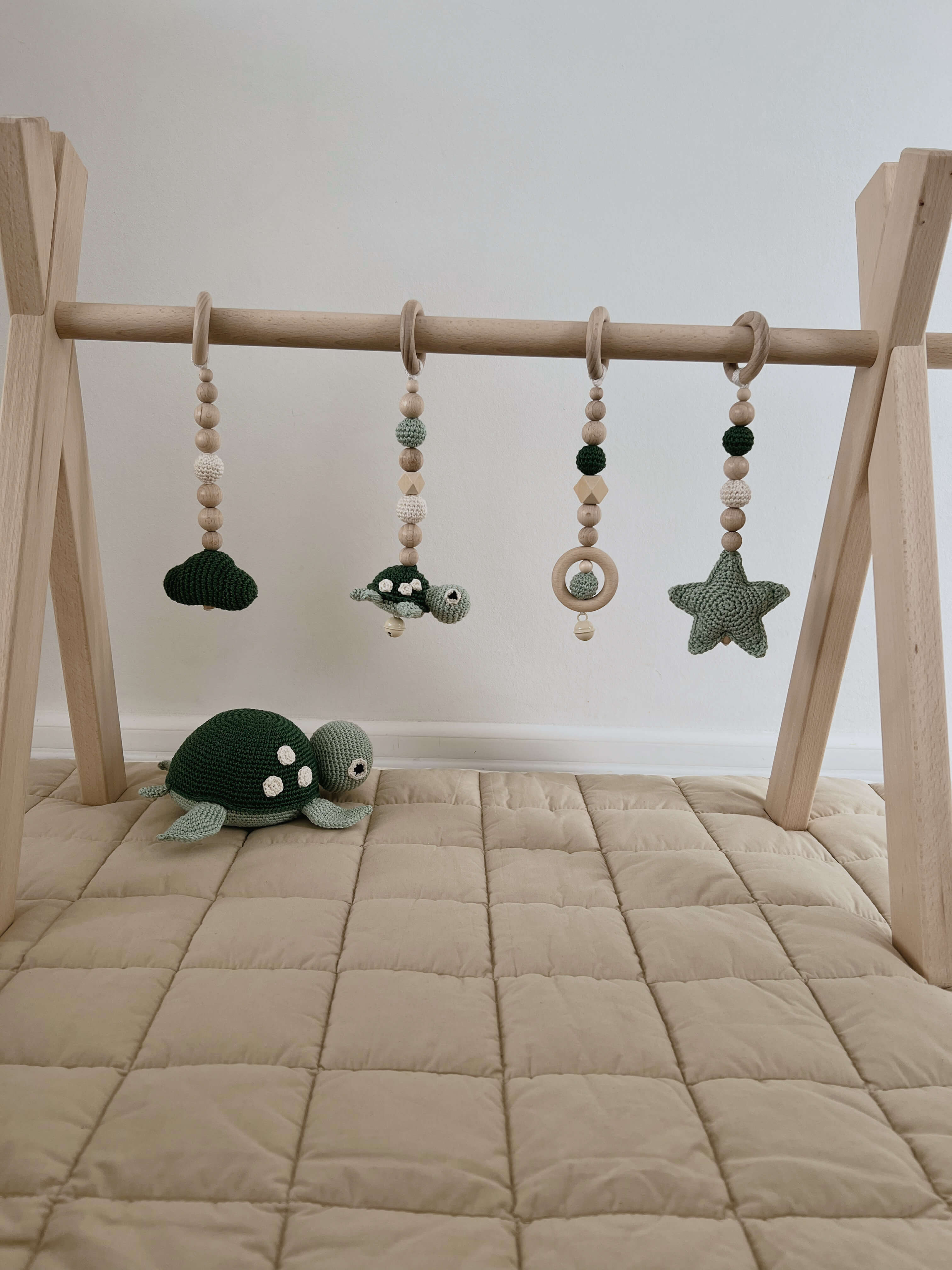 Play Arch "Turtle Wyes"